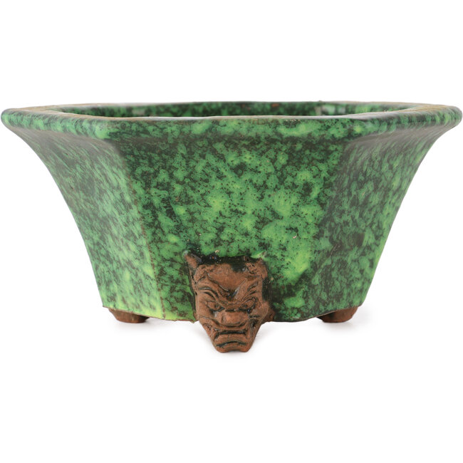 Pot à bonsaï hexagonal vert de Shuhou - 160 x 160 x 85 mm