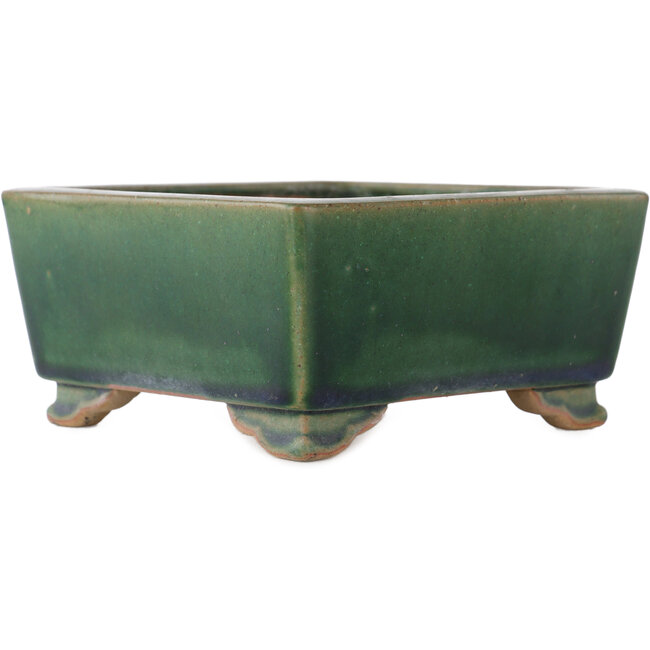 Maceta cuadrada verde para bonsái de Ikkou - 145 x 145 x 70 mm
