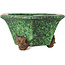 Pot à bonsaï hexagonal vert de Shuhou - 160 x 160 x 85 mm