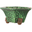 Pot à bonsaï hexagonal vert de Shuhou - 160 x 160 x 85 mm