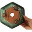 Pot à bonsaï hexagonal vert de Shuhou - 160 x 160 x 85 mm