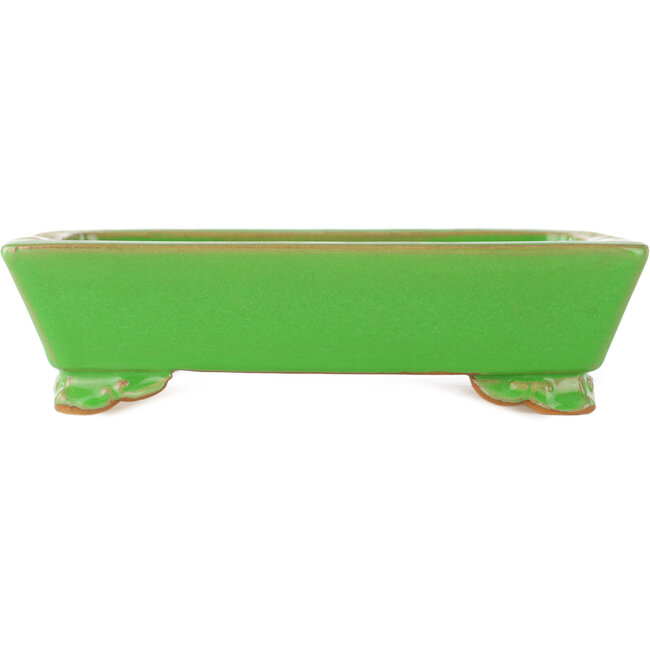 Rectangular green bonsai pot by Eime Yozan - 198 x 145 x 55 mm