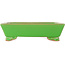 Rectangular green bonsai pot by Eime Yozan - 198 x 145 x 55 mm