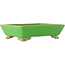 Rectangular green bonsai pot by Eime Yozan - 198 x 145 x 55 mm