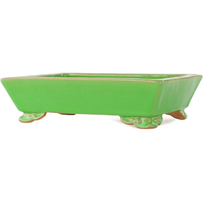 Maceta rectangular verde para bonsái de Eime Yozan - 198 x 145 x 55 mm