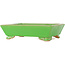 Pot à bonsaï rectangulaire vert par Eime Yozan - 198 x 145 x 55 mm