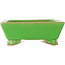 Rectangular green bonsai pot by Eime Yozan - 198 x 145 x 55 mm