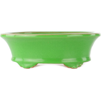  Eimei ( Yozan kiln) Pot à bonsaï vert ovale de 210 mm par Eime Yozan, Tokoname, Japon
