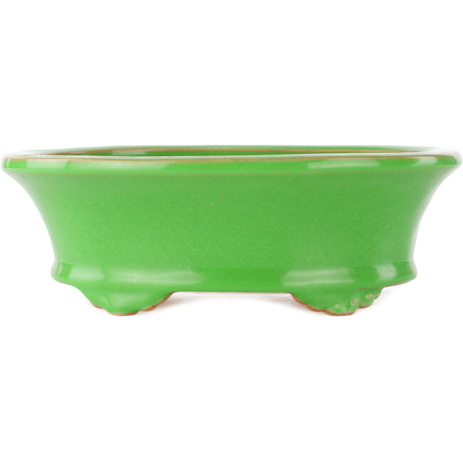 Pot à bonsaï ovale vert par Eime Yozan - 210 x 165 x 70 mm