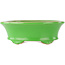 Pot à bonsaï ovale vert par Eime Yozan - 210 x 165 x 70 mm