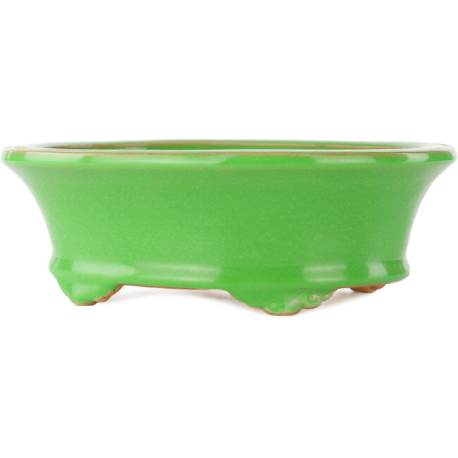 Vaso bonsai ovale verde di Eime Yozan - 210 x 165 x 70 mm
