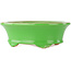 Pot à bonsaï ovale vert par Eime Yozan - 210 x 165 x 70 mm