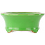 Pot à bonsaï ovale vert par Eime Yozan - 210 x 165 x 70 mm