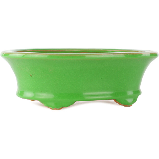 Ovale groene bonsai pot van Eime Yozan - 210 x 165 x 70 mm