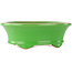 Pot à bonsaï ovale vert par Eime Yozan - 210 x 165 x 70 mm