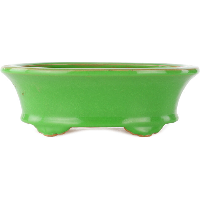 Ovale groene bonsai pot van Eime Yozan - 210 x 165 x 70 mm
