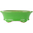 Ovale groene bonsai pot van Eime Yozan - 210 x 165 x 70 mm