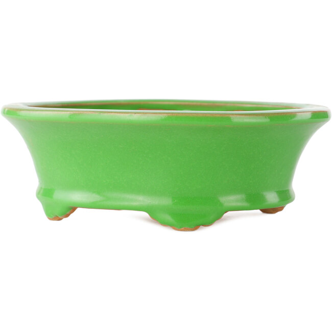 Maceta ovalada verde para bonsái de Eime Yozan - 210 x 165 x 70 mm
