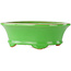 Pot à bonsaï ovale vert par Eime Yozan - 210 x 165 x 70 mm