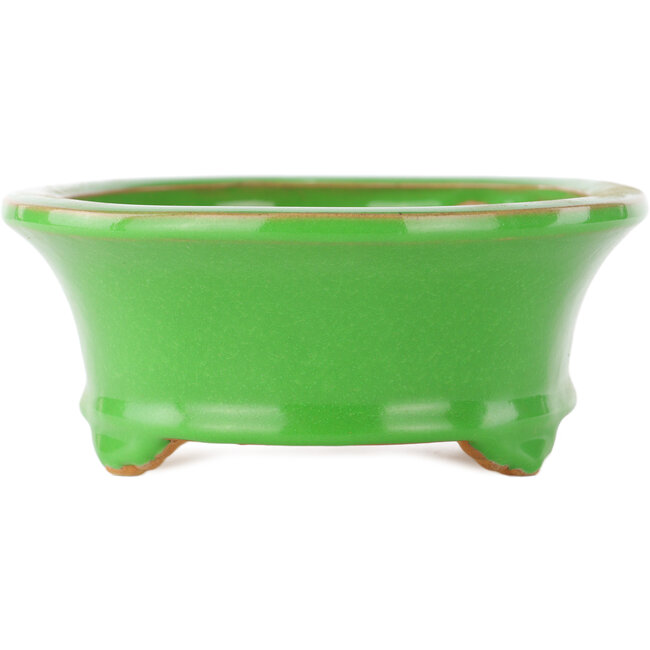 Maceta ovalada verde para bonsái de Eime Yozan - 210 x 165 x 70 mm
