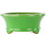Pot à bonsaï ovale vert par Eime Yozan - 210 x 165 x 70 mm