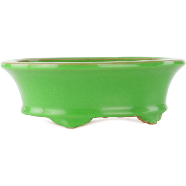 Ovale groene bonsai pot van Eime Yozan - 210 x 165 x 70 mm
