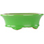 Pot à bonsaï ovale vert par Eime Yozan - 210 x 165 x 70 mm