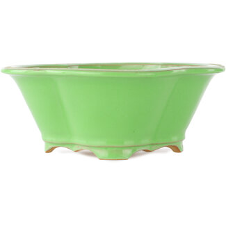  Eimei ( Yozan kiln) Pot à bonsaï vert mokko 200 mm par Eime Yozan, Tokoname, Japon