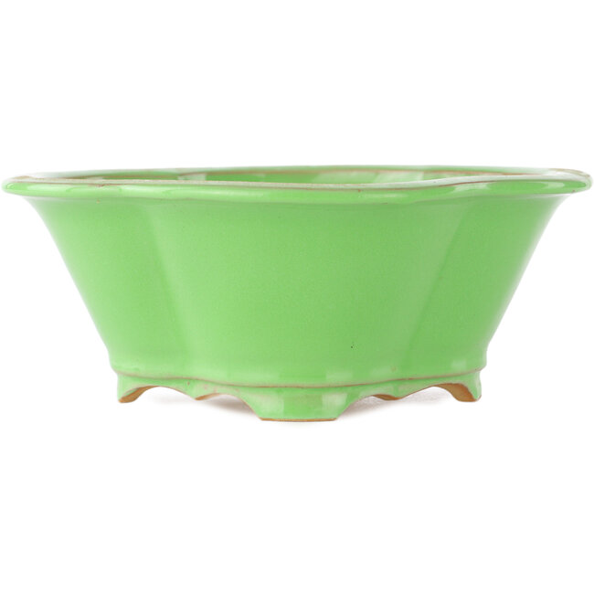 Pot à bonsaï vert Mokko par Eime Yozan - 200 x 185 x 80 mm