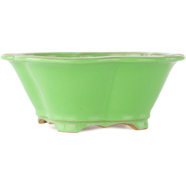 Pot à bonsaï vert Mokko par Eime Yozan - 200 x 185 x 80 mm