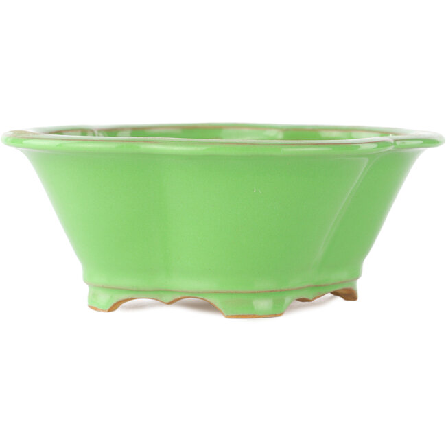 Maceta para bonsái verde Mokko de Eime Yozan - 200 x 185 x 80 mm