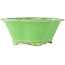 Pot à bonsaï vert Mokko par Eime Yozan - 200 x 185 x 80 mm