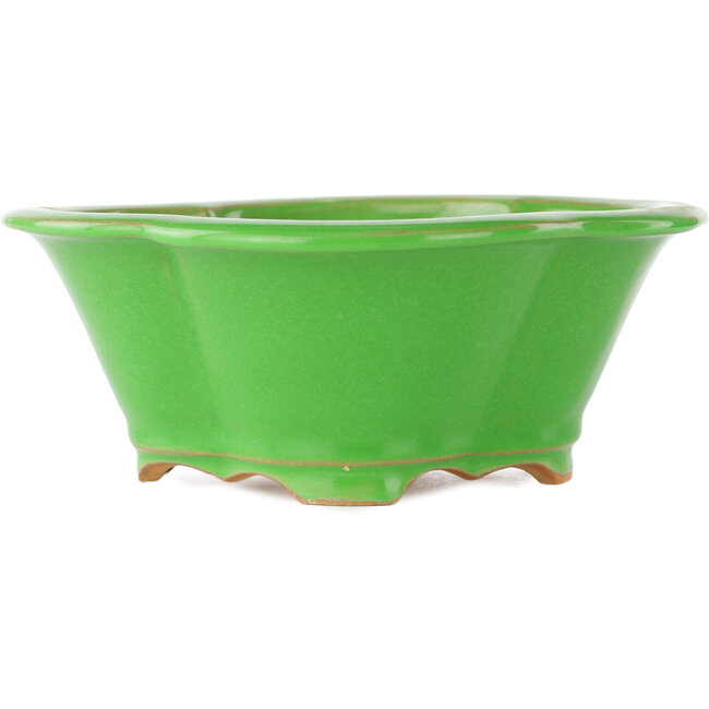 Pot à bonsaï vert Mokko par Eime Yozan - 200 x 180 x 80 mm