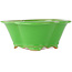 Mokko green bonsai pot by Eime Yozan - 200 x 180 x 80 mm