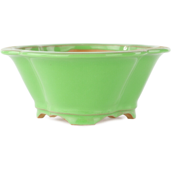 Vaso bonsai verde Mokko di Eime Yozan - 200 x 185 x 80 mm