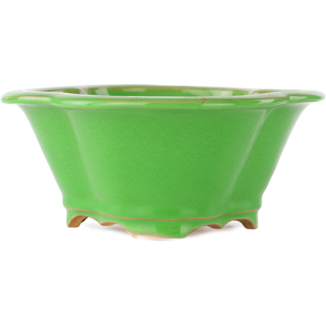 Vaso bonsai verde Mokko di Eime Yozan - 200 x 180 x 80 mm