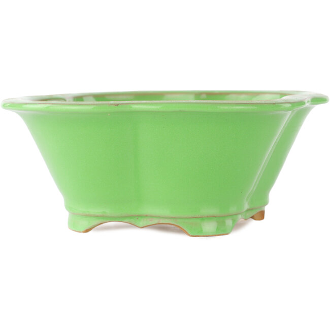 Vaso bonsai verde Mokko di Eime Yozan - 200 x 185 x 80 mm