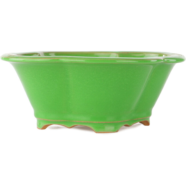 Mokko green bonsai pot by Eime Yozan - 200 x 180 x 80 mm