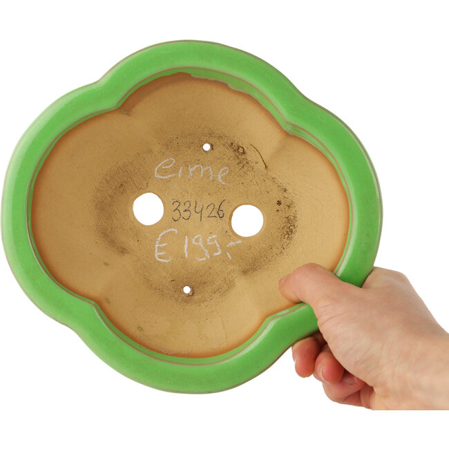 Pot à bonsaï vert Mokko par Eime Yozan - 200 x 185 x 80 mm