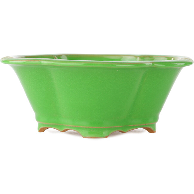 Maceta para bonsái verde Mokko de Eime Yozan - 200 x 180 x 80 mm