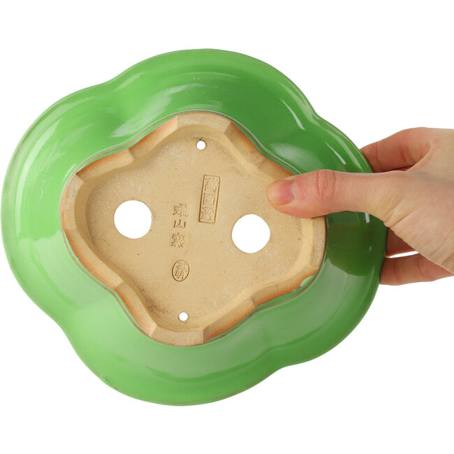 Maceta para bonsái verde Mokko de Eime Yozan - 200 x 185 x 80 mm