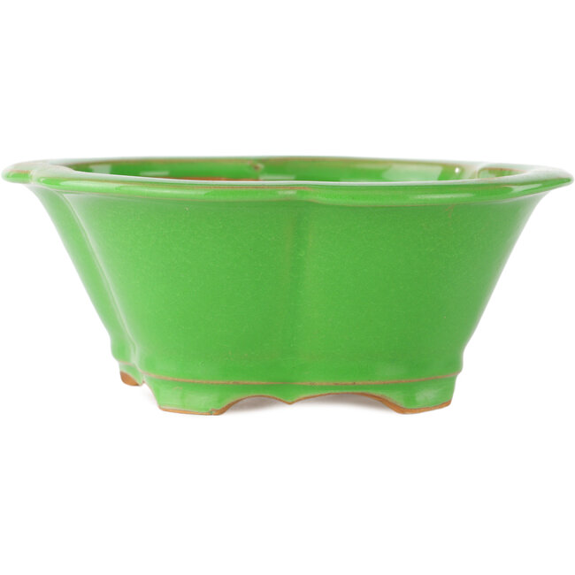 Vaso bonsai verde Mokko di Eime Yozan - 200 x 180 x 80 mm