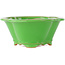 Pot à bonsaï vert Mokko par Eime Yozan - 200 x 180 x 80 mm