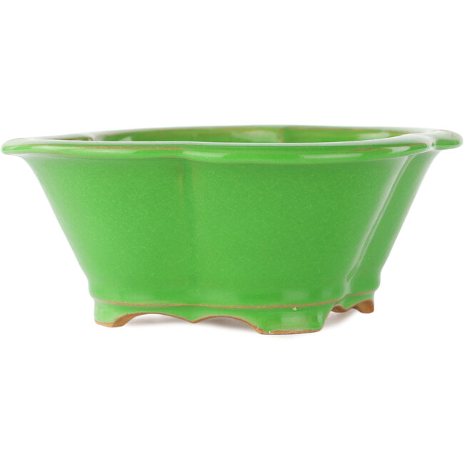 Maceta para bonsái verde Mokko de Eime Yozan - 200 x 180 x 80 mm