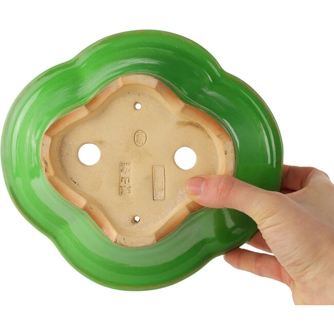 Maceta para bonsái verde Mokko de Eime Yozan - 200 x 180 x 80 mm