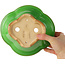 Pot à bonsaï vert Mokko par Eime Yozan - 200 x 180 x 80 mm