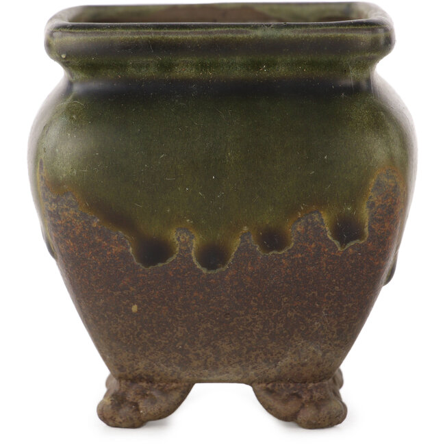 Pot à bonsaï carré marron et vert - 70 x 70 x 75 mm