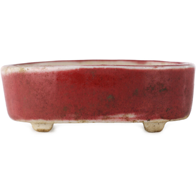 Pot à bonsaï ovale rouge - 77 x 54 x 25 mm