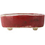 Oval red bonsai pot - 77 x 54 x 25 mm