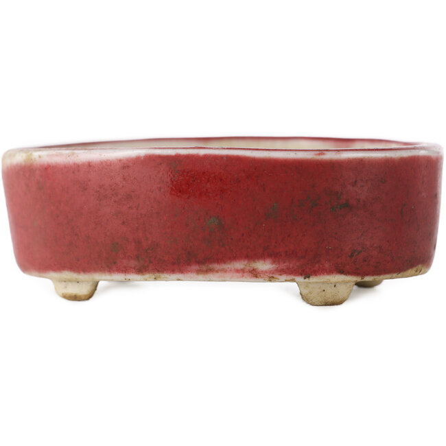 Pot à bonsaï ovale rouge - 77 x 54 x 25 mm
